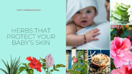 Herbs that protect baby skin