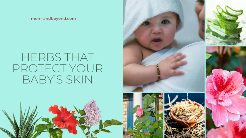 Herbs That Protect Your Baby’s Skin